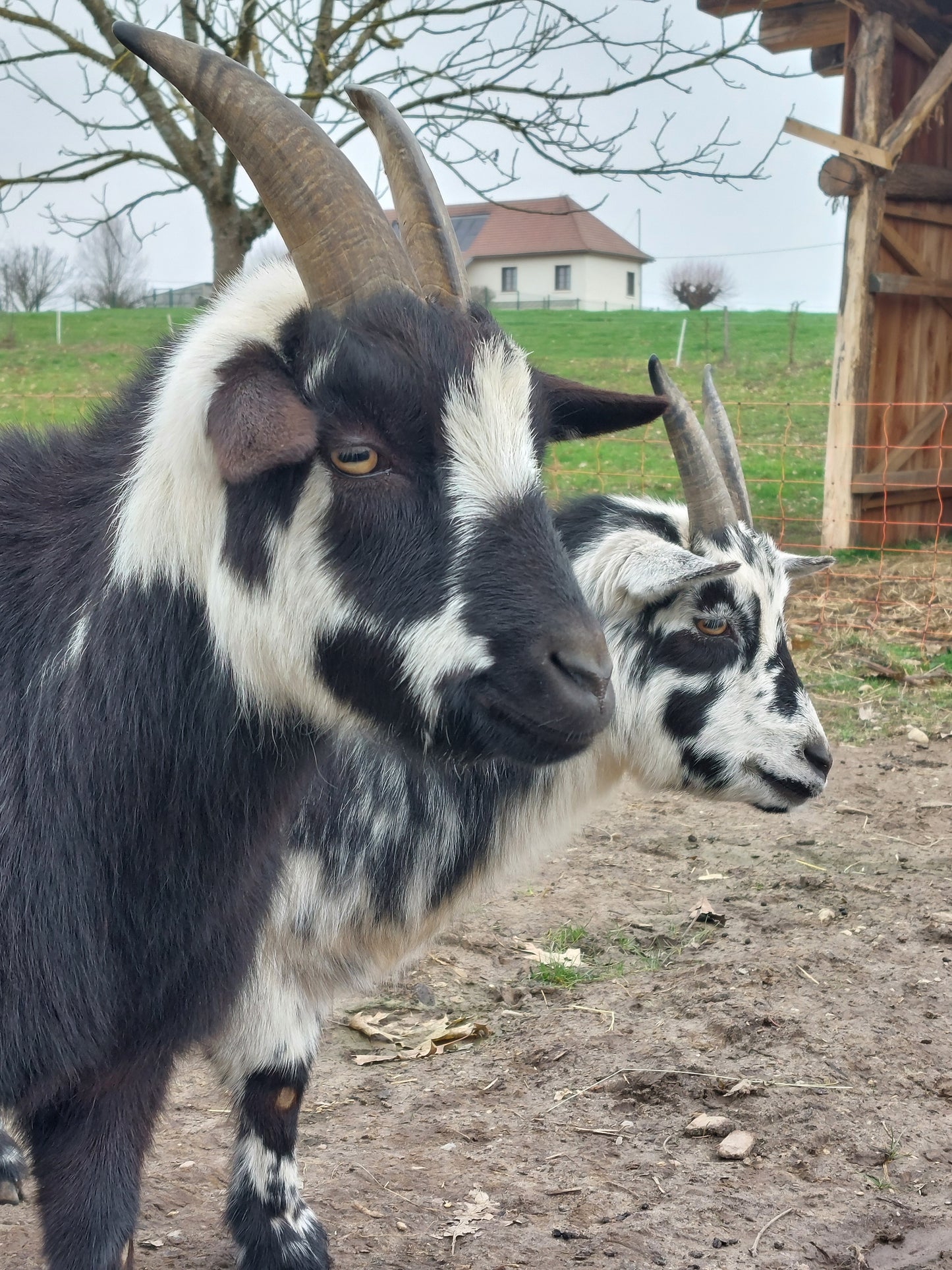 Visite de la ferme