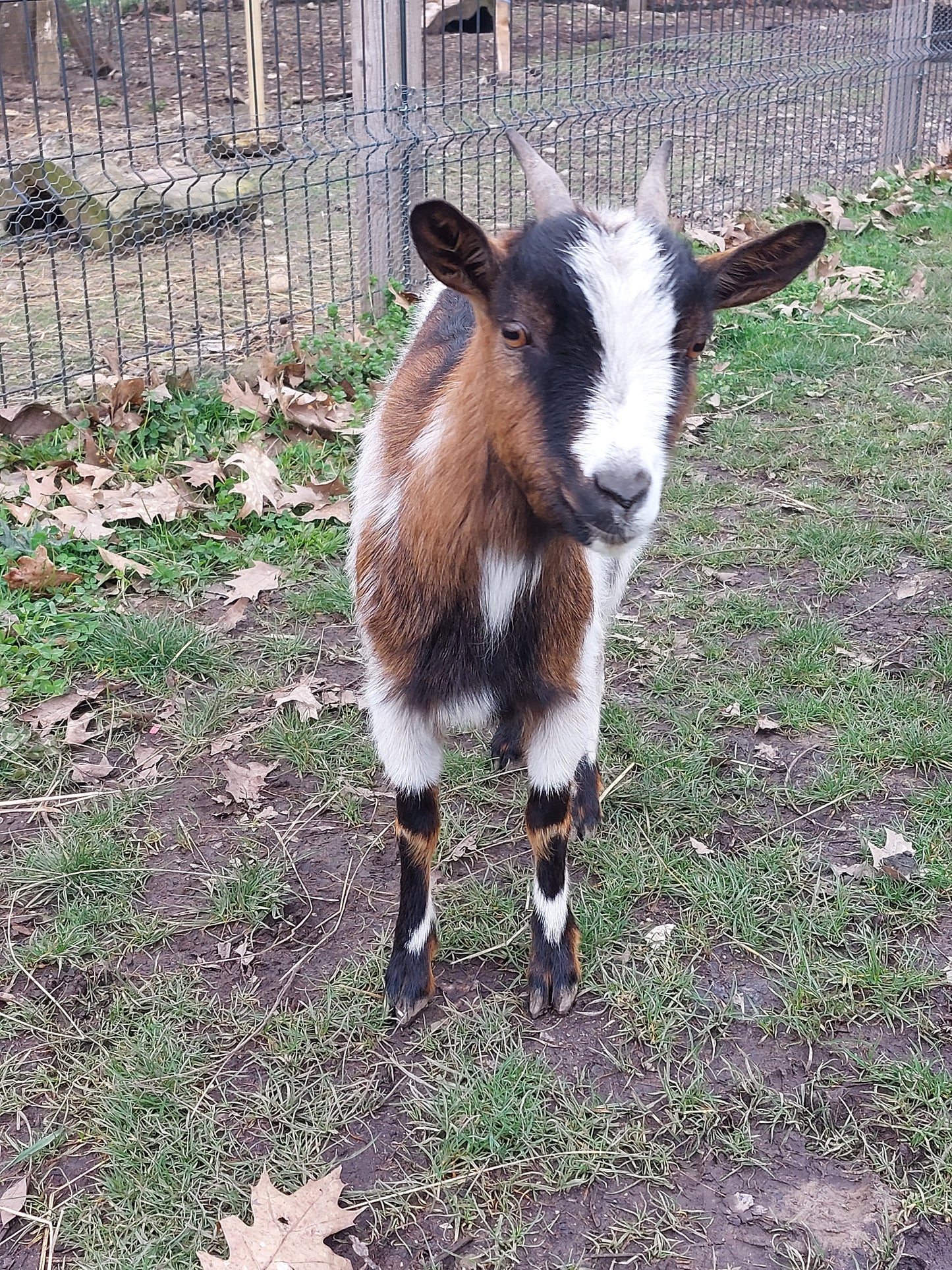 Visite de la ferme 7 Aout 17h